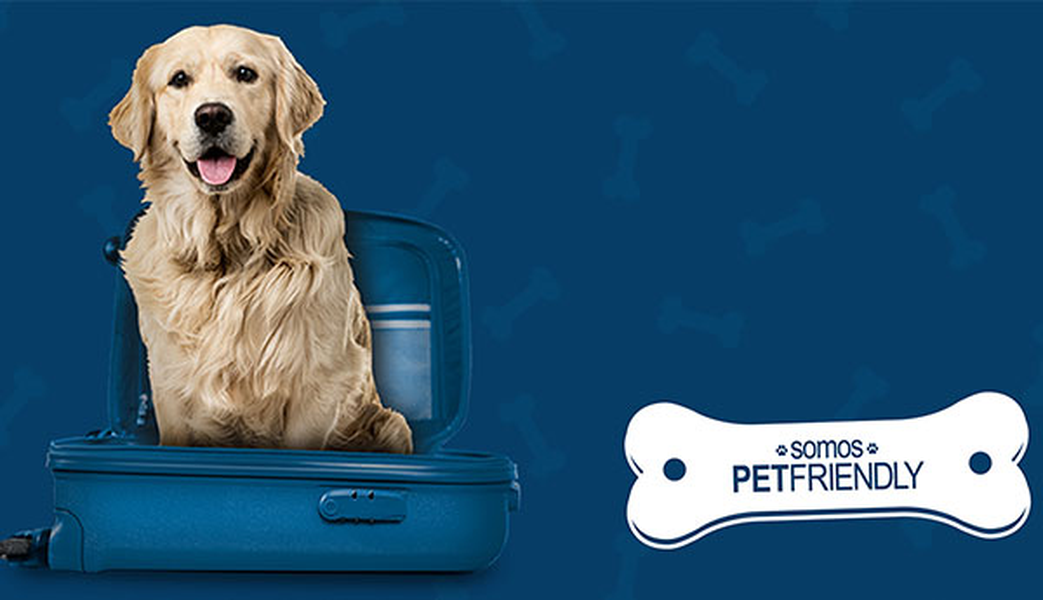 Want to travel with your pet? Hotel ILUNION Auditori Barcelona